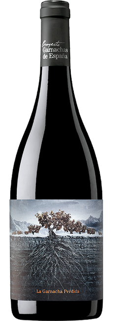 Image of Projecto Garnachas de Espana La Garnacha Perdida del Pirineo - 75cl, Spanien bei Flaschenpost.ch
