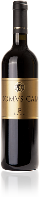 Image of Azienda Agricola Ferrucci Domus Caia Riserva DOC - 75cl - Emilia-Romagna, Italien bei Flaschenpost.ch