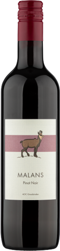 Bottle of Malans Pinot Noir AOC Graubünden from Rutishauser-Divino