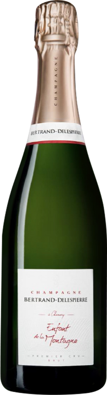 Bottiglia di Enfant de la Montagne Extra Brut 1er Cru AC di Bertrand-Delespierre