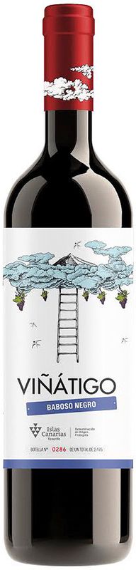 Flasche Baboso Negro Ycoden Daute Isora D.O. von Bodegas Viñatigo