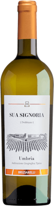Bottle of Sua Signoria Umbria Bianco IGT from Briziarelli