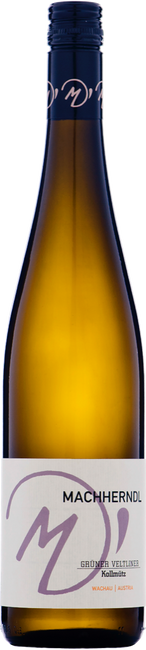 Image of Weingut Machherndl Gruner Veltliner Federspiel Kollmutz - 75cl - Niederösterreich, Österreich bei Flaschenpost.ch