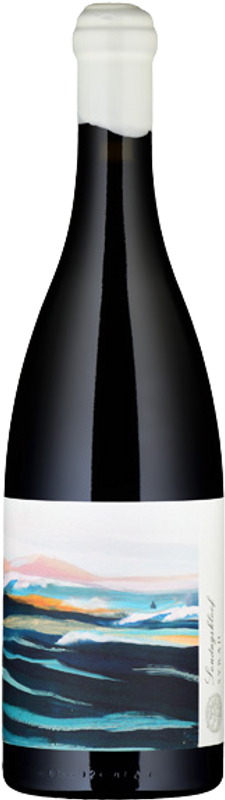 Bottle of Sondagskloof Syrah from Trizanne Signature Wines