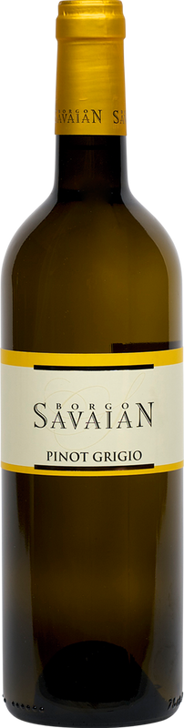 Bottiglia di Pinot Grigio Collio DOC di Borgo Savaian