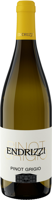 Image of Serpaia di Endrizzi Pinot Grigio Trentino DOC - 75cl - Trentino, Italien bei Flaschenpost.ch