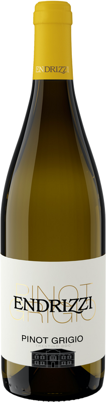 Bottiglia di Pinot Grigio Trentino DOC di Serpaia di Endrizzi