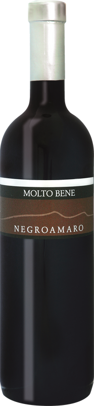 Bottle of Molto Bene Negroamaro Puglia IGP from Molto Bene