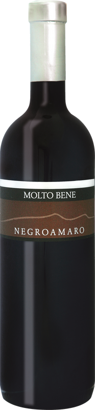 Bouteille de Molto Bene Negroamaro Puglia IGP de Molto Bene