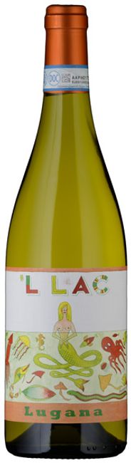 Image of Soc. Semp. Agr. in sigla Dossetto Lugana DOC 'l Lac - 150cl - Veneto, Italien bei Flaschenpost.ch