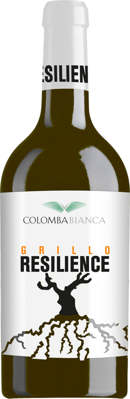 Bottiglia di Resilience Grillo Sicilia DOC di Colomba Bianca