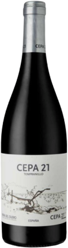 Image of Bodegas Cepa 21 Hito Ribera del Duero DO - 150cl - Duero-Tal (Castilla y Leon), Spanien