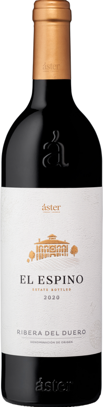 Flasche Ribera del Duero D.O. Aster El Espino von La Rioja Alta