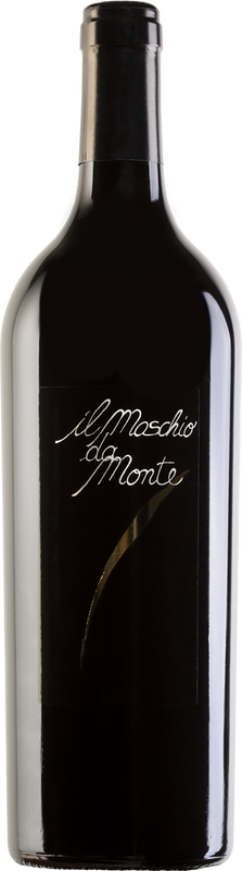 Bottle of Rosso Piceno Il Maschio da Monte DOC from Santa Barbara