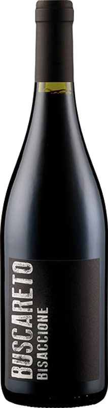 Bottle of Marche IGT Rosso Bisaccione from Conti di Buscareto