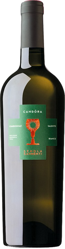 Bottiglia di Chardonnay CANDÒRA Salento Bianco IGT di Schola Sarmenti