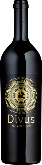 Image of Compagnia Mediterranea DIVUS Nero di Troia IGP Puglia - 75cl - Apulien, Italien bei Flaschenpost.ch