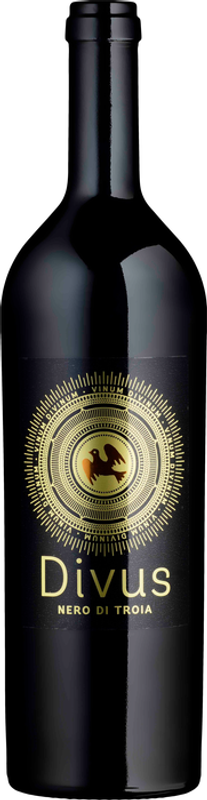 Bottle of DIVUS Nero di Troia IGP Puglia from Compagnia Mediterranea