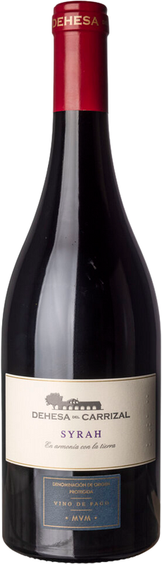 Bottiglia di Dehesa del Carrizal Vino de Pago Syrah di Dehesa del Carrizal