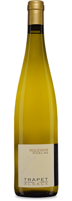 Image of Domaine Trapet Alsace Riquewihr Riesling Alsace AC - 75cl - Elsass, Frankreich bei Flaschenpost.ch