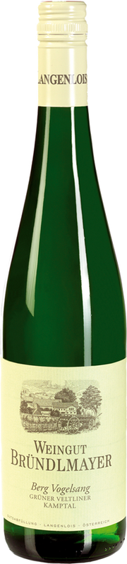 Bottiglia di Grüner Veltliner Berg Vogelsang Kamptal DAC di Weingut Bründlmayer