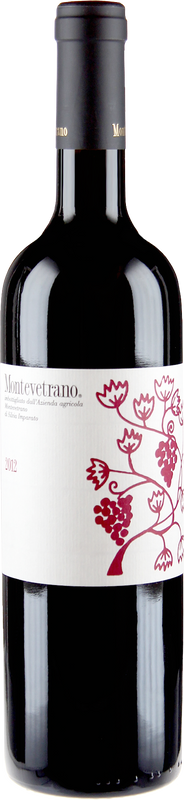 Flasche Montevetrano Colli Di Salerno IGT von Montevetrano