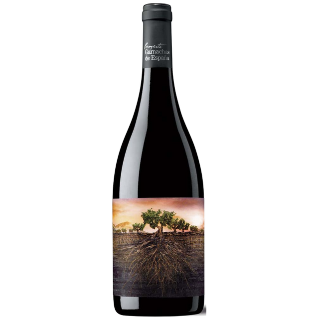 Image of Projecto Garnachas de Espana Olvidada de Aragón Calatayud DO - 75cl - Oberer Ebro, Spanien bei Flaschenpost.ch