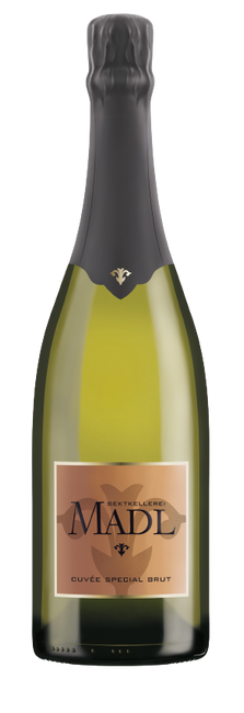 Image of Madl Sektkellerei Special Brut - 75cl - Niederösterreich, Österreich bei Flaschenpost.ch