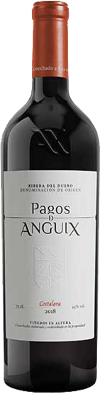 Flasche Costalara Ribera del Duero DO von Pagos d'Anguix