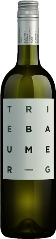 Bottle of Furmint from Günter + Regina Triebaumer