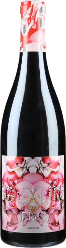 Gotin del Risc Mencia 2010 Bodega del Abad | Flaschenpost