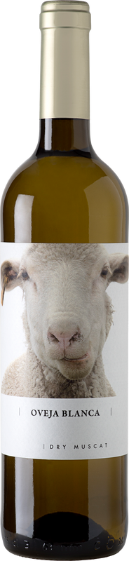 Bottle of Oveja Blanca Dry Muscat Vino Varietal from Bodegas Fontana