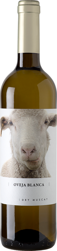 Image of Bodegas Fontana Oveja Blanca Dry Muscat Vino Varietal - 75cl, Spanien