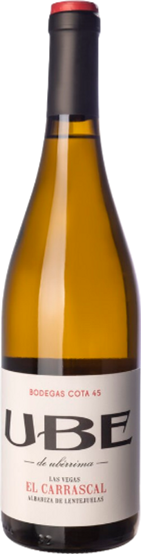 Flasche UBE Carrascal von Cota 45