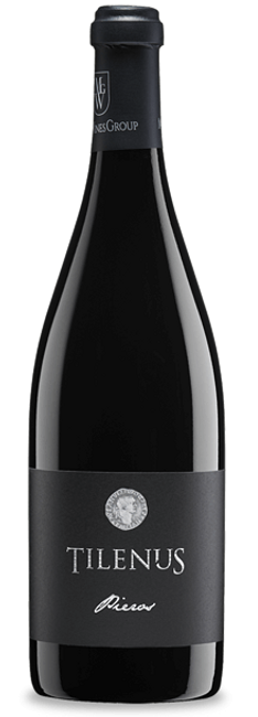 Image of Bodegas Estefania Tilenus Pieros Bierzo DO - 75cl - Duero-Tal (Castilla y Leon), Spanien bei Flaschenpost.ch