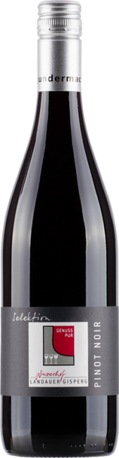 Image of Winzerhof Landauer-Gisperg Pinot Noir Selektion Thermenregion - 75cl - Thermenregion, Österreich bei Flaschenpost.ch
