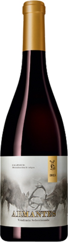 Image of Feudi San Gregorio Armantes Vendimia Seleccionada - 75cl - Oberer Ebro, Spanien
