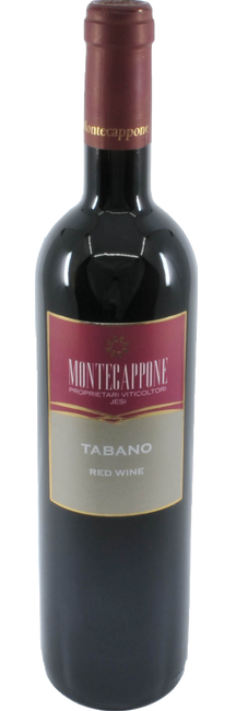 Image of Montecappone Tabano Esino Rosso DOC Marche - 75cl - Marche, Italien bei Flaschenpost.ch