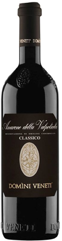 Bottiglia di Amarone della Valpolicella Classico DOC di Domini Veneti