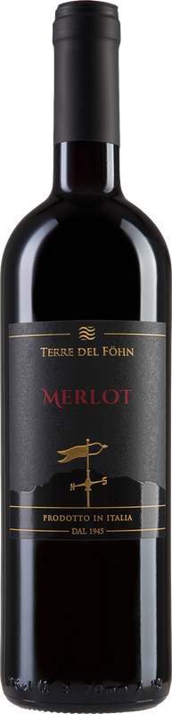 Bottiglia di Terre del Föhn Merlot Vigna delle Dolomiti IGP di Cantine Monfort