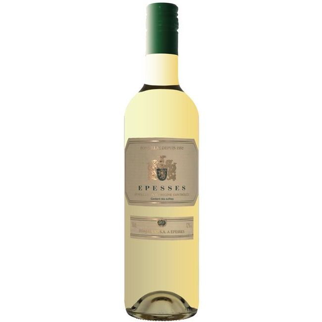 Image of Patrick Fonjallaz SA Epesses Lavaux AOC Fonjallaz Top 50 - 50cl - Waadt, Schweiz bei Flaschenpost.ch