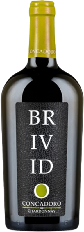 Bottle of Chardonnay BRIVIDO from Fattoria Conca D'Oro