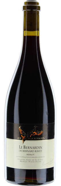 Image of Cave de la Côte Bernardin Merlot - 150cl - Waadt, Schweiz bei Flaschenpost.ch