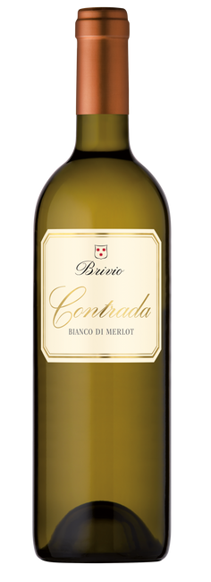 Image of Guido Brivio Ticino DOC Bianco di Merlot Contrada - 37.5cl - Tessin, Schweiz bei Flaschenpost.ch