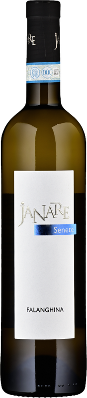 Bottle of Falanghina del Sannio DOP from Janare - La Guardiense