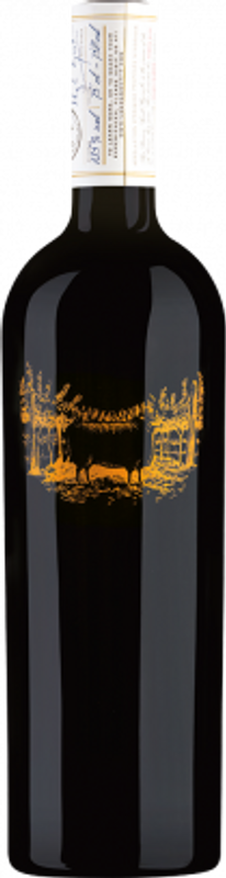Flasche Le Grand Noir Réserve Minervois AOP von Jean d'Alibert
