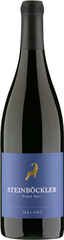 Bottiglia di Steinböckler Pinot Noir Malans AOC di Rutishauser-Divino