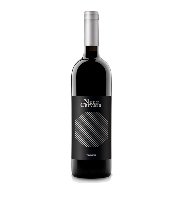 Image of Todini Nero della Cervara DOC - 150cl - Umbrien, Italien bei Flaschenpost.ch