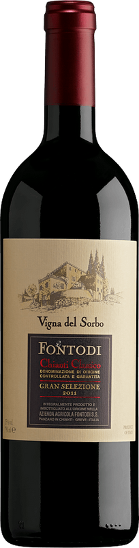 Bottiglia di Chianti Classico Vigna Sorbo Gran Selezione DOCG di Fontodi