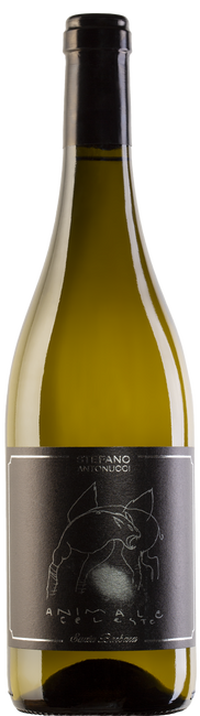 Image of Santa Barbara Marche Bianco Animale Celeste IGT - 75cl - Marche, Italien bei Flaschenpost.ch